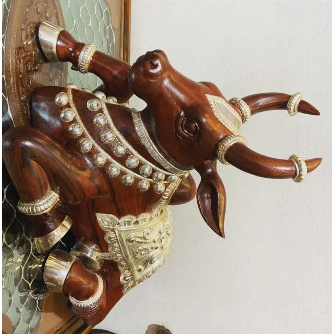 Nandi Ji Brown 999